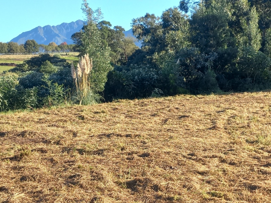  Bedroom Property for Sale in Blanco Western Cape